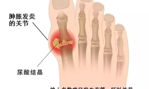 木瓜怎么吃才可以营养吸收好-木瓜怎么吃才可以营养吸收网 :分享木瓜怎么吃才可以营养吸收呢-木瓜怎么吃才可以营养吸收好知识